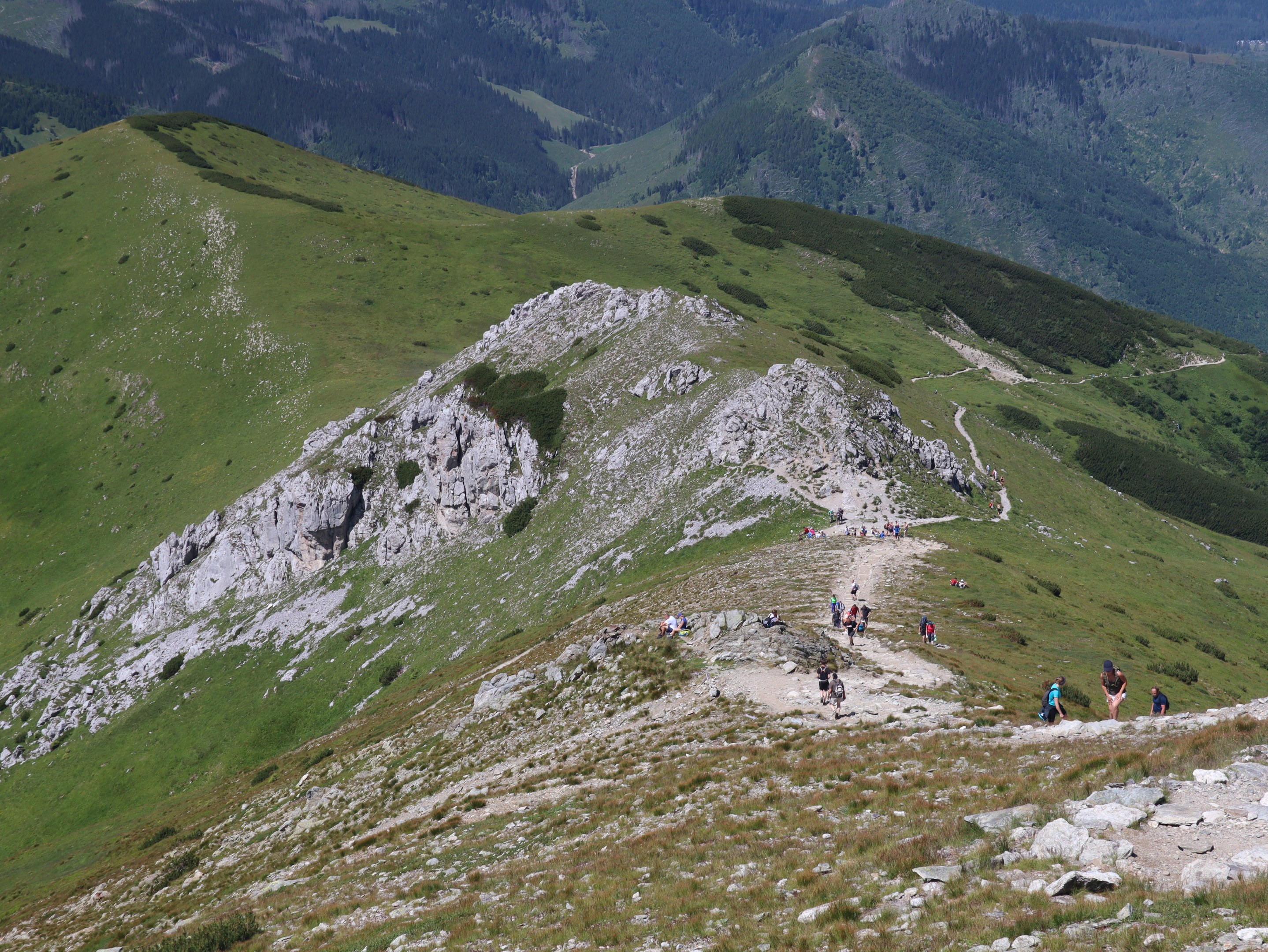 Gruppe von Menschen beim Wandern auf einem grasbewachsenen Berghang mit Felsen im Hintergrund, der Himmel ist im Hintergrund zu sehen.