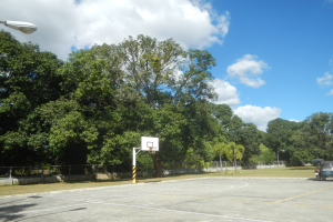 Ein Basketballfeld mit einem Korb in der Mitte, umgeben von einem Metallzaun, mit Straßenlaternen, Bäumen und einem parkenden Fahrzeug in der Nähe unter einem bewölkten Himmel.