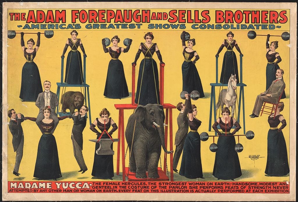 Plakat für Adam Forepaugh und Sells Brothers, Americas Greatest Shows Consolidated, das Darsteller auf Hockern mit einem Elefanten in der Mitte und Text zeigt.