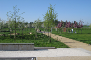 Ein parkartiger Weg, gesäumt von Bäumen und Bänken, auf dem Menschen Fahrräder fahren; im Hintergrund sind Gebäude und ein klarer blauer Himmel zu sehen, während der Boden mit saftigem Grün bedeckt ist.