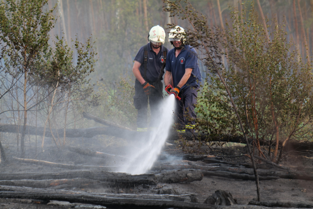 Zwei Feuerwehrleute in Schutzausrüstung löschen einen Waldbrand mit einem Schlauch, wobei Bäume und Holzscheite im Hintergrund zu sehen sind.