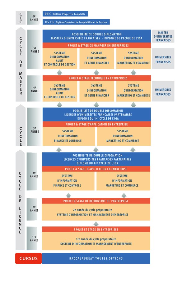Diagramm, das die organisatorische Struktur eines Unternehmens mit miteinander verbundenen Kästchen darstellt, die die Stufen des Unternehmenswachstums und der Entwicklung darstellen, begleitet von Text, der die Rollen und Verantwortlichkeiten beschreibt.