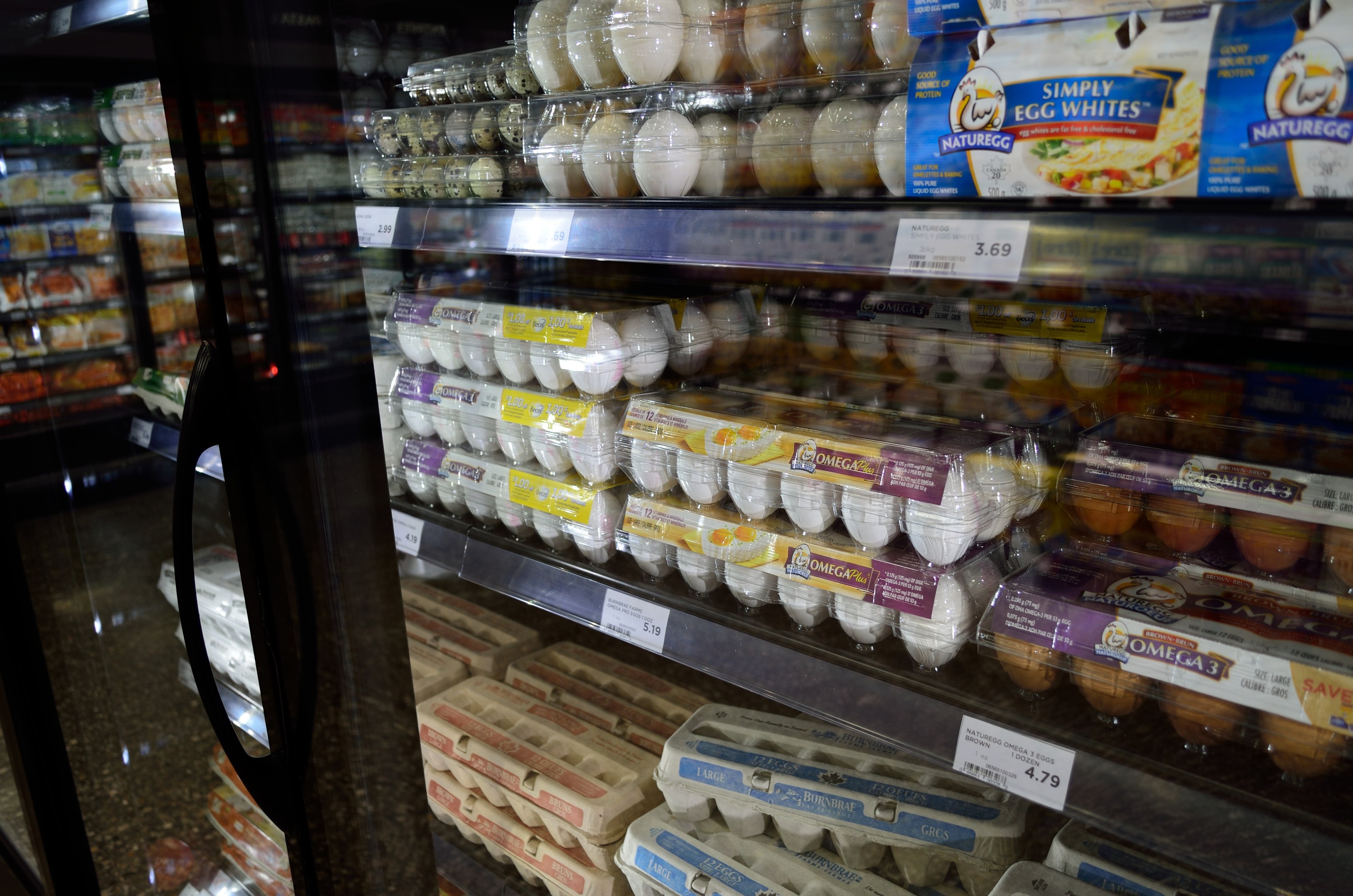 Ein Kühlschrank in einem Supermarkt mit ordentlich angeordneten Eiern mit Preisschildern im Vordergrund, mit einem leicht unscharfen Hintergrund.
