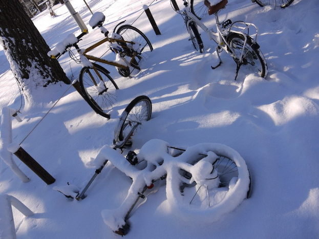Eine Reihe von Fahrrädern, teilweise mit Schnee bedeckt, mit einem Baumstamm und einer Straße daneben.