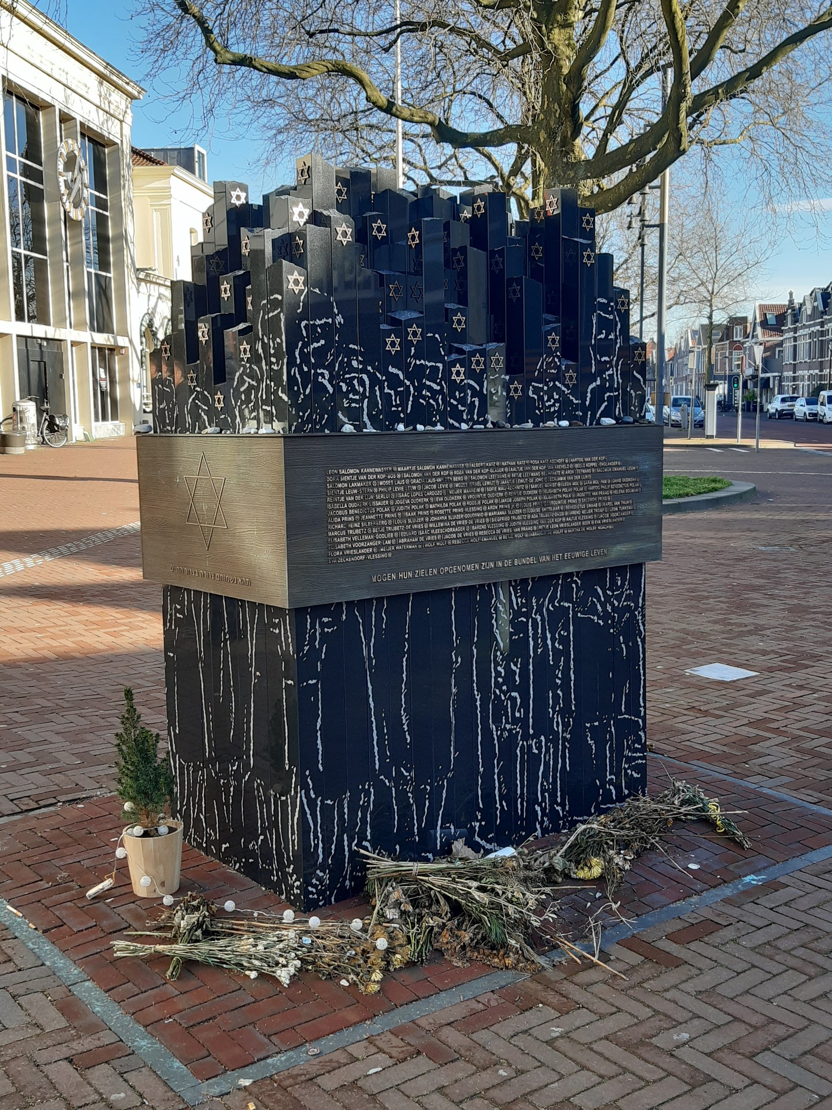 Denkmal in einem Stadtplatz für Holocaust-Opfer mit einem Baum davor, einem Topfgewächshaus auf dem Boden, verstreuten trockenen Blättern und Gebäuden, Fahrzeugen, Masten und Bäumen im Hintergrund.