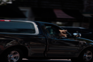 Ein Auto mit einem Hund darin zu sehen.